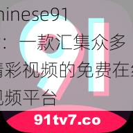 chinese91tv：一款汇集众多精彩视频的免费在线视频平台