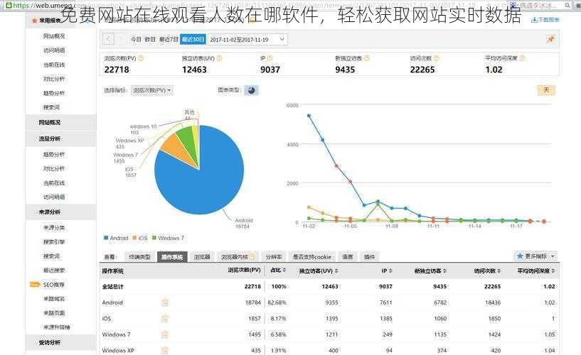 免费网站在线观看人数在哪软件，轻松获取网站实时数据