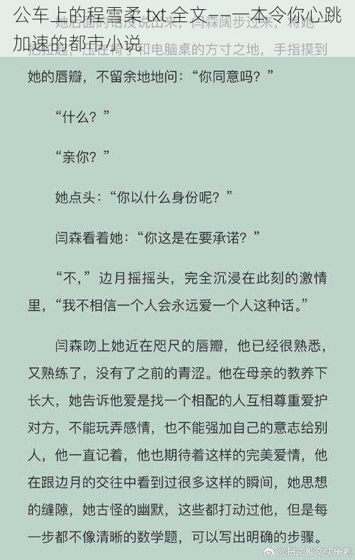 公车上的程雪柔 txt 全文——一本令你心跳加速的都市小说