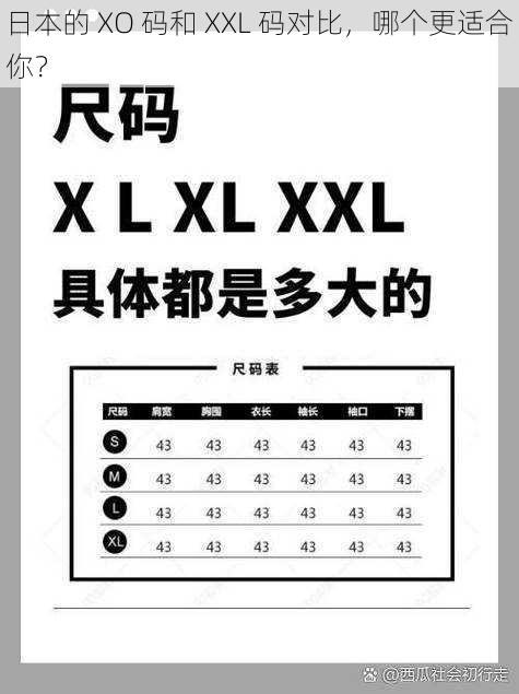 日本的 XO 码和 XXL 码对比，哪个更适合你？