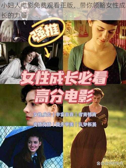 小妇人电影免费观看正版，带你领略女性成长的力量