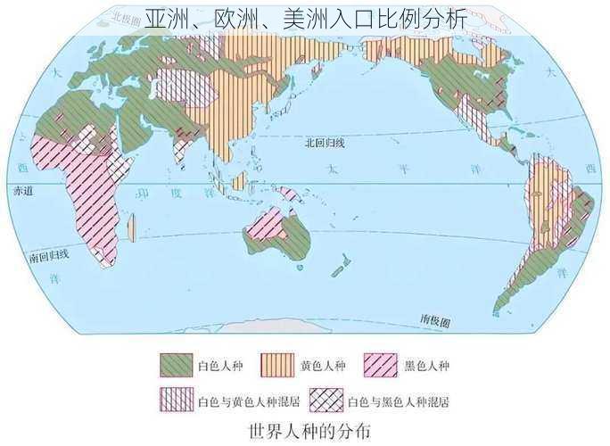 亚洲、欧洲、美洲入口比例分析