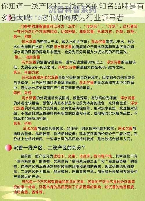 你知道一线产区和二线产区的知名品牌是有多强大吗——它们如何成为行业领导者