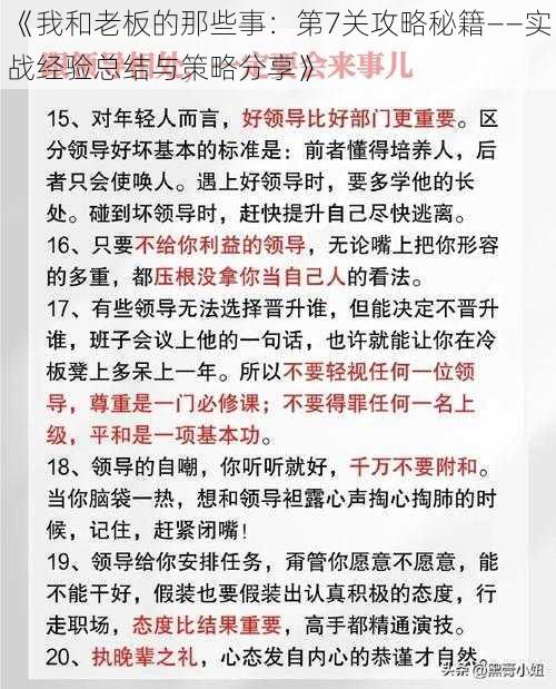 《我和老板的那些事：第7关攻略秘籍——实战经验总结与策略分享》