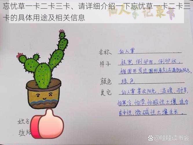 忘忧草一卡二卡三卡、请详细介绍一下忘忧草一卡二卡三卡的具体用途及相关信息