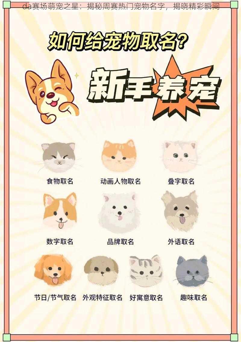 da赛场萌宠之星：揭秘周赛热门宠物名字，揭晓精彩瞬间