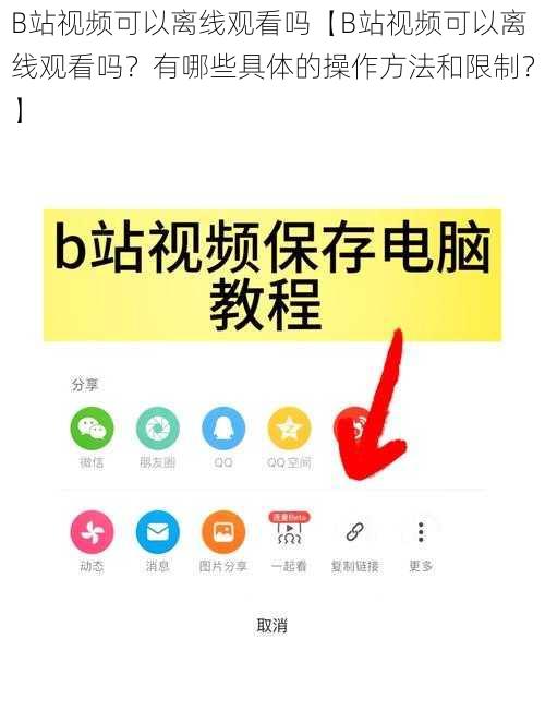 B站视频可以离线观看吗【B站视频可以离线观看吗？有哪些具体的操作方法和限制？】