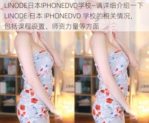 LINODE日本IPHONEDVD学校—请详细介绍一下 LINODE 日本 IPHONEDVD 学校的相关情况，包括课程设置、师资力量等方面