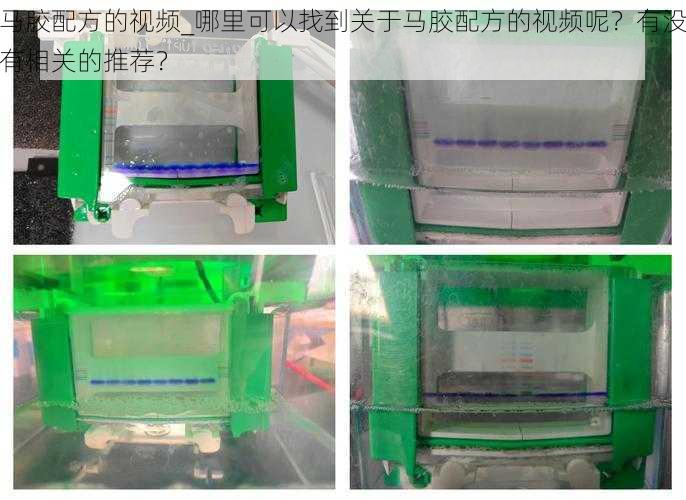 马胶配方的视频_哪里可以找到关于马胶配方的视频呢？有没有相关的推荐？