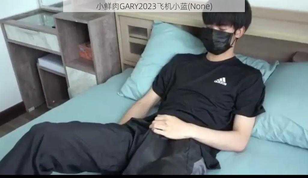 小鲜肉GARY2023飞机小蓝(None)