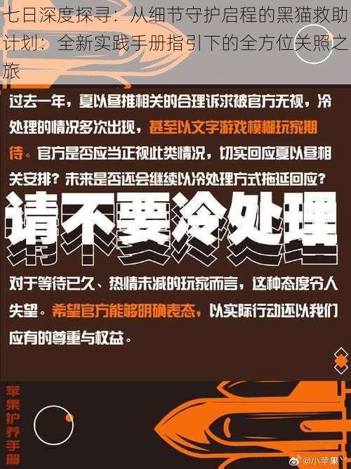 七日深度探寻：从细节守护启程的黑猫救助计划：全新实践手册指引下的全方位关照之旅