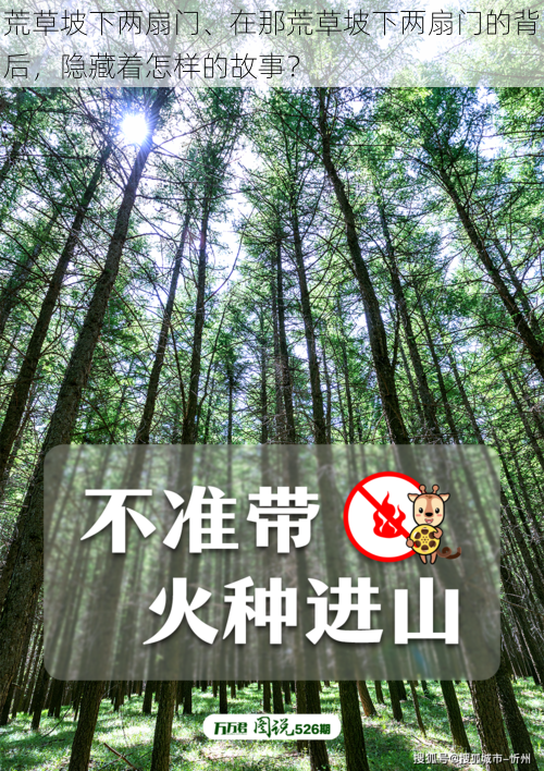 荒草坡下两扇门、在那荒草坡下两扇门的背后，隐藏着怎样的故事？