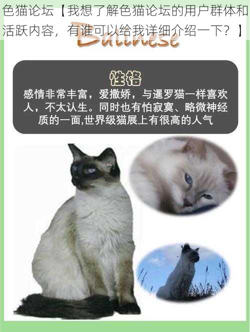 色猫论坛【我想了解色猫论坛的用户群体和活跃内容，有谁可以给我详细介绍一下？】