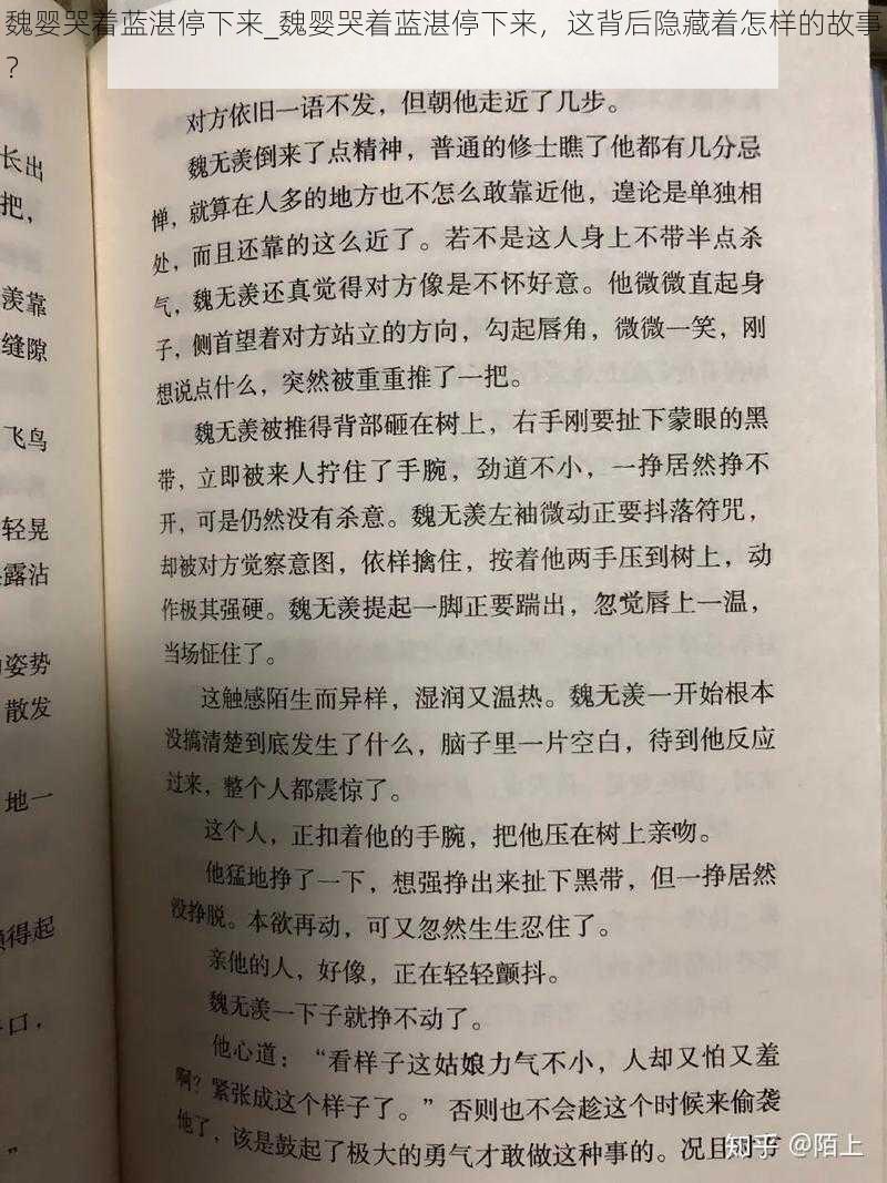 魏婴哭着蓝湛停下来_魏婴哭着蓝湛停下来，这背后隐藏着怎样的故事？