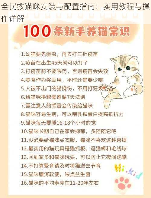 全民救猫咪安装与配置指南：实用教程与操作详解