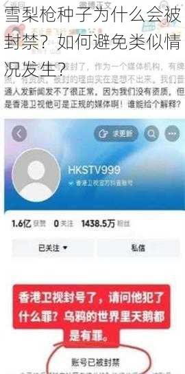 雪梨枪种子为什么会被封禁？如何避免类似情况发生？