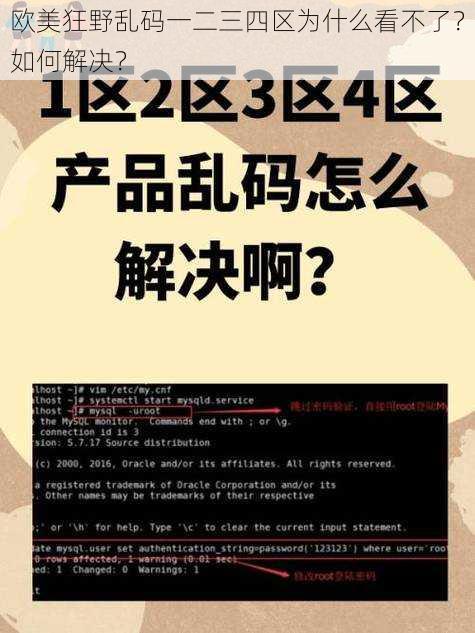 欧美狂野乱码一二三四区为什么看不了？如何解决？