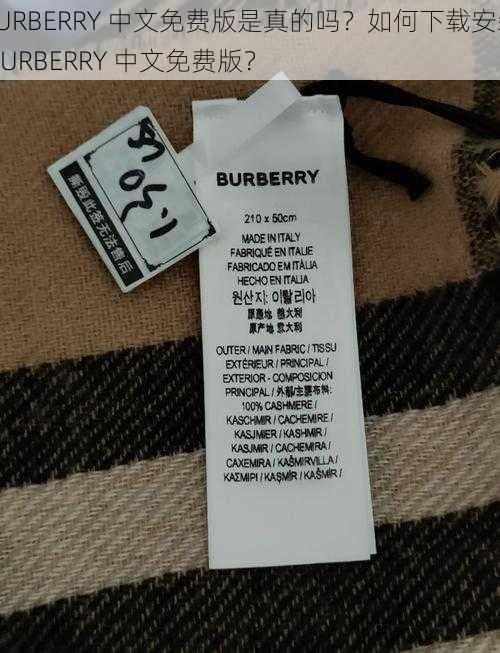 BURBERRY 中文免费版是真的吗？如何下载安装 BURBERRY 中文免费版？