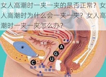 女人高潮时一夹一夹的是否正常？女人高潮时为什么会一夹一夹？女人高潮时一夹一夹怎么办？