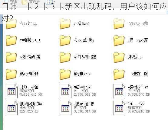 日韩一卡 2 卡 3 卡新区出现乱码，用户该如何应对？