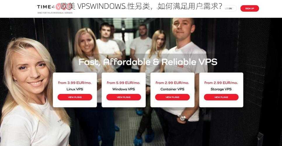 欧美 VPSWINDOWS 性另类，如何满足用户需求？