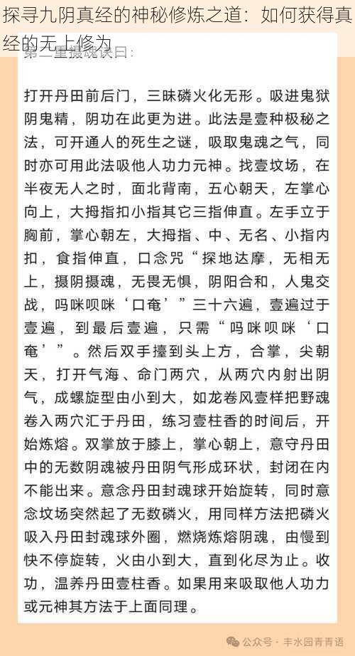 探寻九阴真经的神秘修炼之道：如何获得真经的无上修为