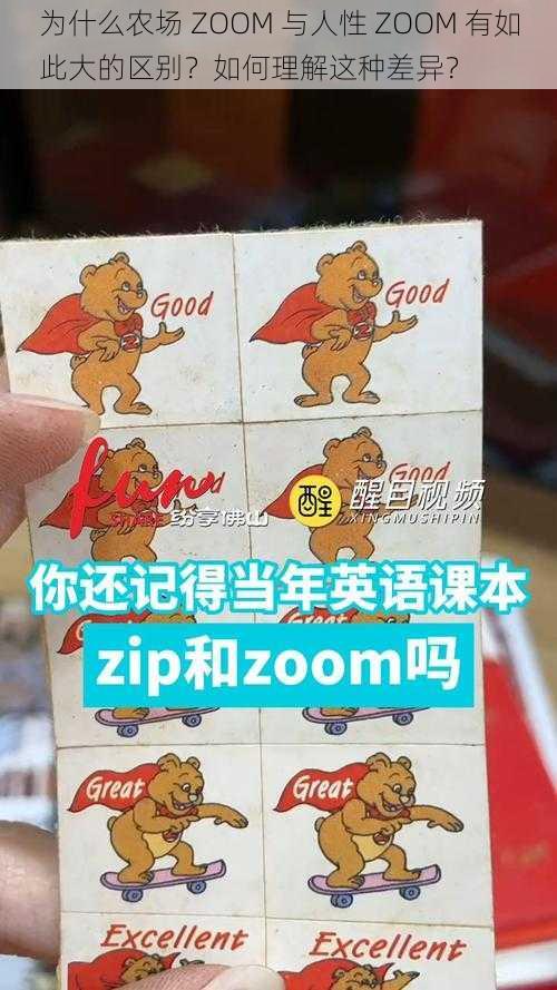 为什么农场 ZOOM 与人性 ZOOM 有如此大的区别？如何理解这种差异？