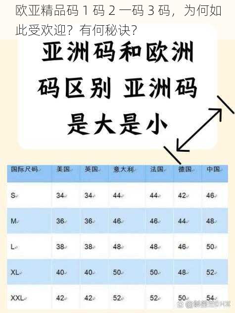 欧亚精品码 1 码 2 一码 3 码，为何如此受欢迎？有何秘诀？