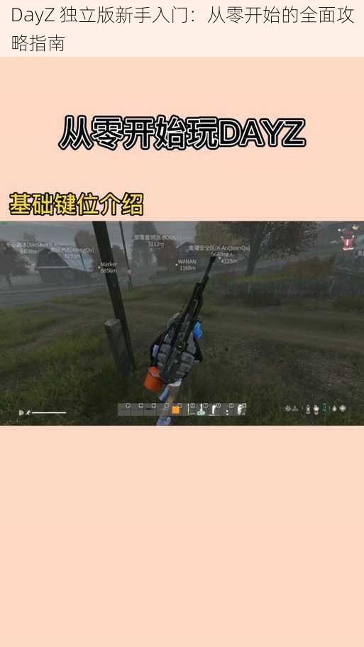 DayZ 独立版新手入门：从零开始的全面攻略指南