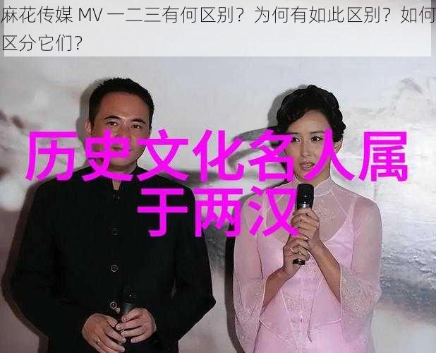 麻花传媒 MV 一二三有何区别？为何有如此区别？如何区分它们？