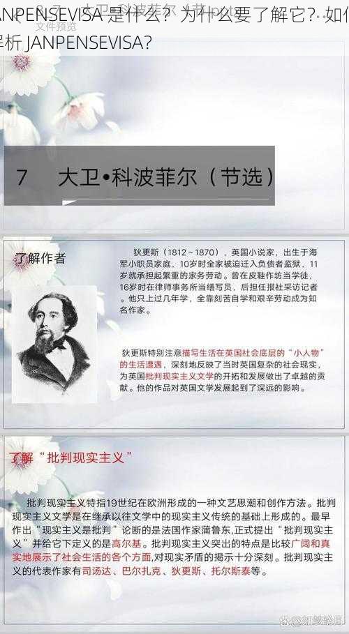 JANPENSEVISA 是什么？为什么要了解它？如何解析 JANPENSEVISA？