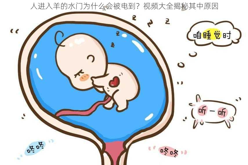 人进入羊的水门为什么会被电到？视频大全揭秘其中原因