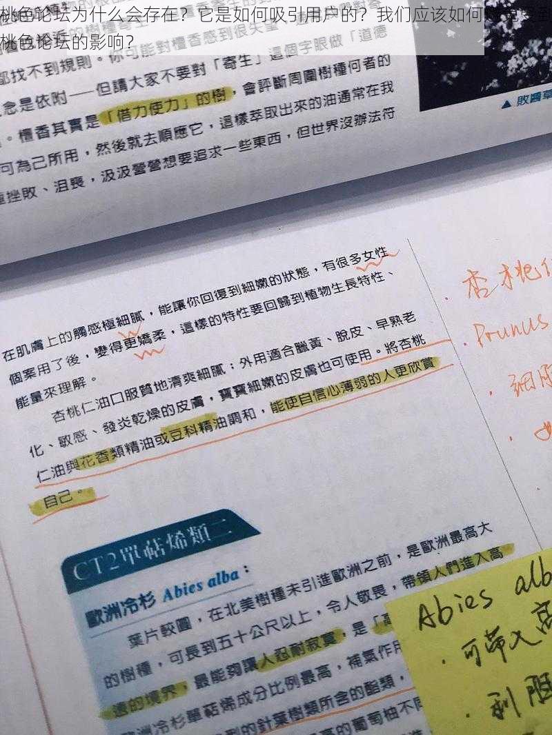 桃色论坛为什么会存在？它是如何吸引用户的？我们应该如何避免受到桃色论坛的影响？