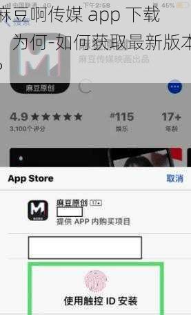 麻豆啊传媒 app 下载：为何-如何获取最新版本？