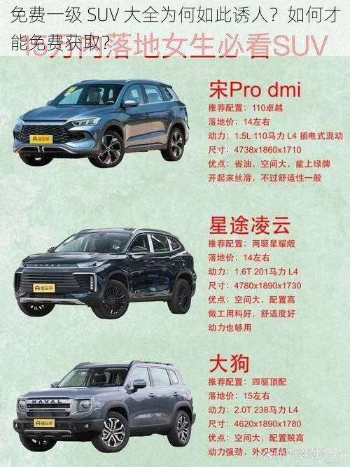 免费一级 SUV 大全为何如此诱人？如何才能免费获取？