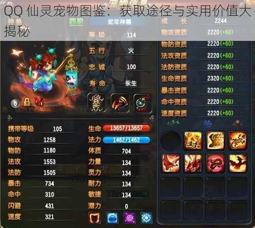 QQ 仙灵宠物图鉴：获取途径与实用价值大揭秘