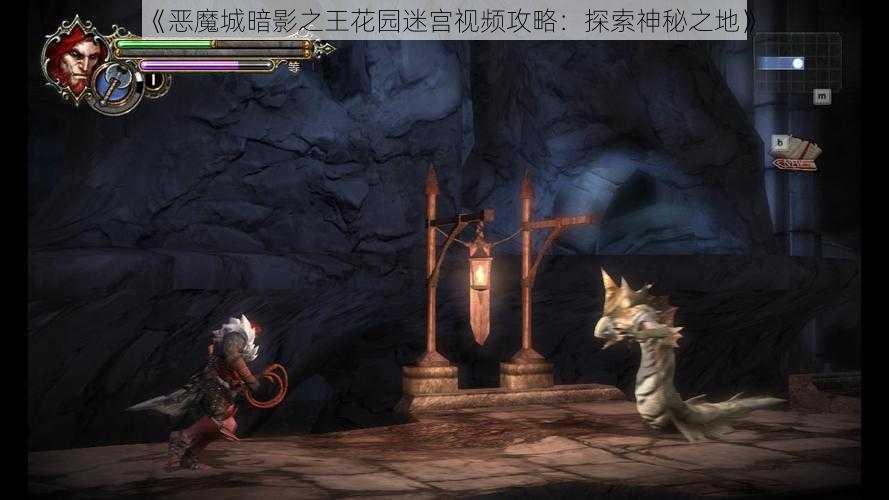 《恶魔城暗影之王花园迷宫视频攻略：探索神秘之地》