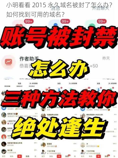 小明看看 2015 永久域名被封了怎么办？如何找到可用的域名？