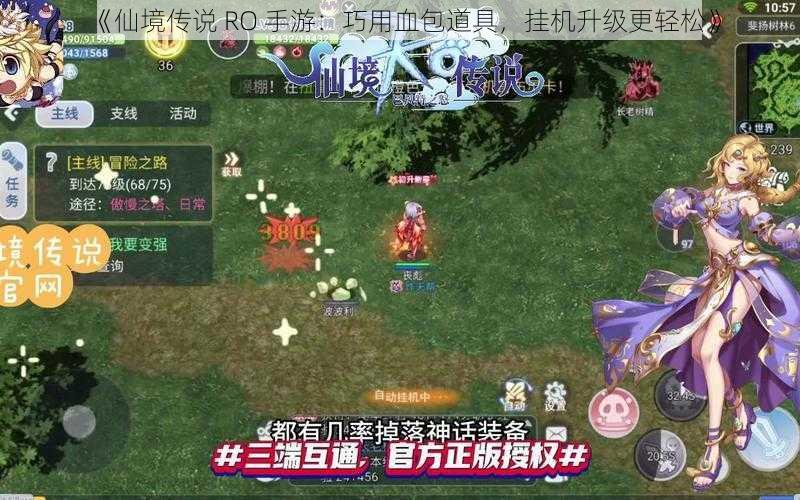 《仙境传说 RO 手游：巧用血包道具，挂机升级更轻松》