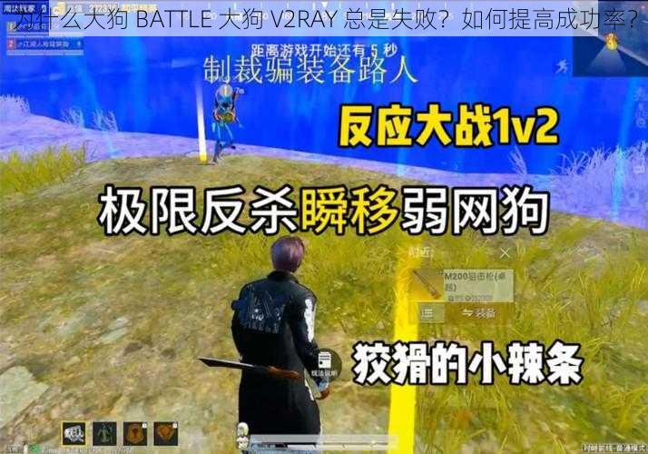 为什么大狗 BATTLE 大狗 V2RAY 总是失败？如何提高成功率？