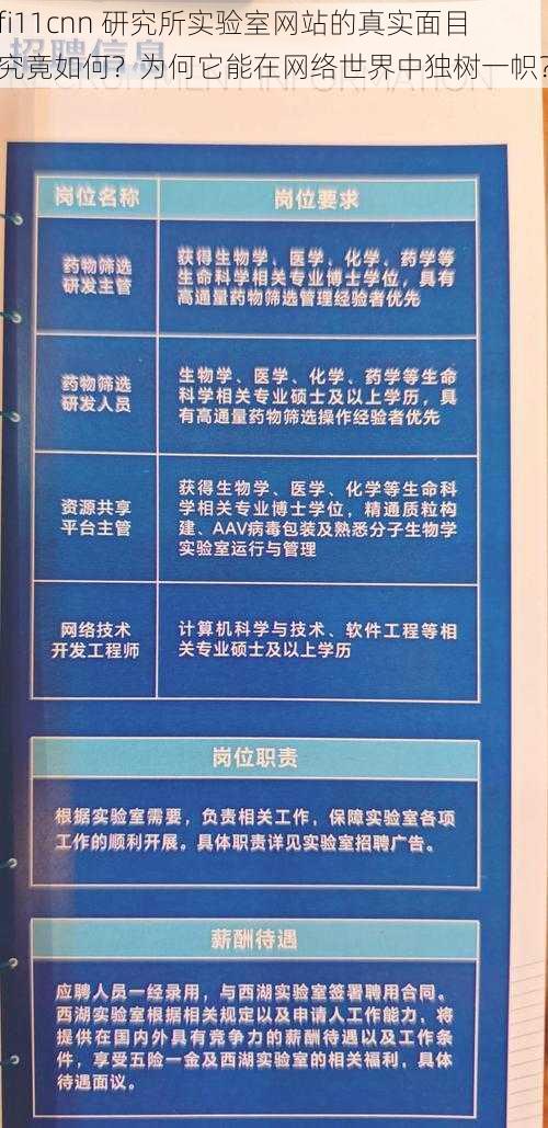 fi11cnn 研究所实验室网站的真实面目究竟如何？为何它能在网络世界中独树一帜？