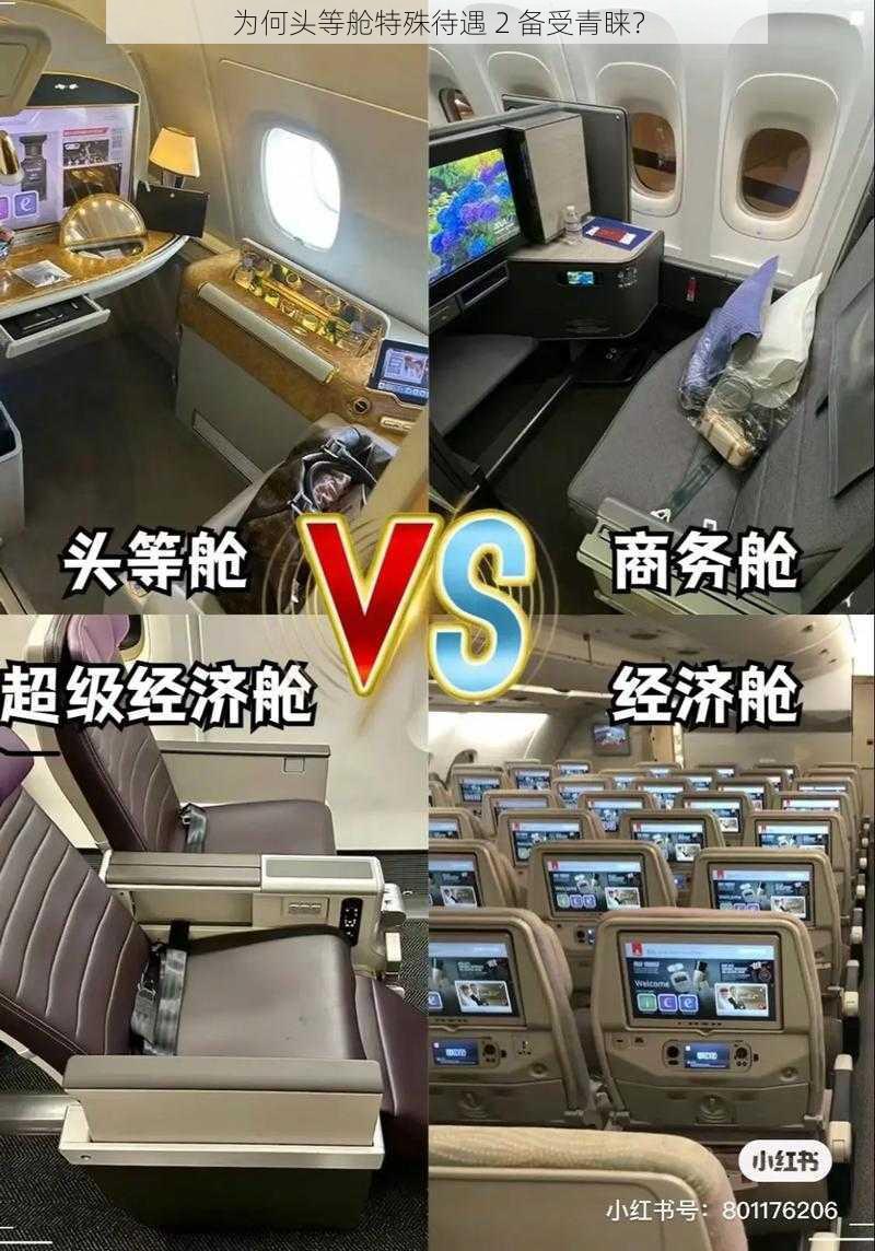 为何头等舱特殊待遇 2 备受青睐？