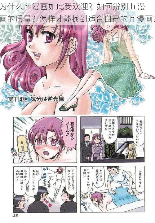 为什么 h 漫画如此受欢迎？如何辨别 h 漫画的质量？怎样才能找到适合自己的 h 漫画？