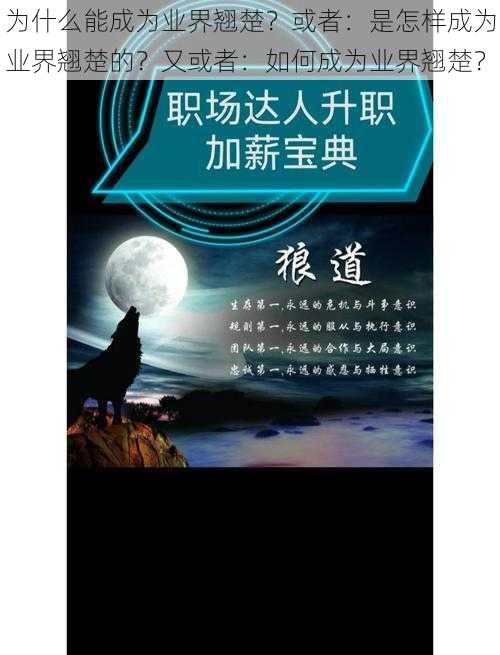 为什么能成为业界翘楚？或者：是怎样成为业界翘楚的？又或者：如何成为业界翘楚？