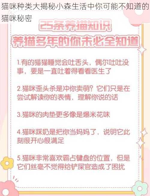 猫咪种类大揭秘小森生活中你可能不知道的猫咪秘密