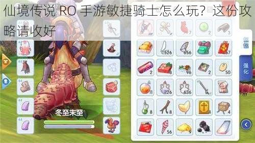 仙境传说 RO 手游敏捷骑士怎么玩？这份攻略请收好