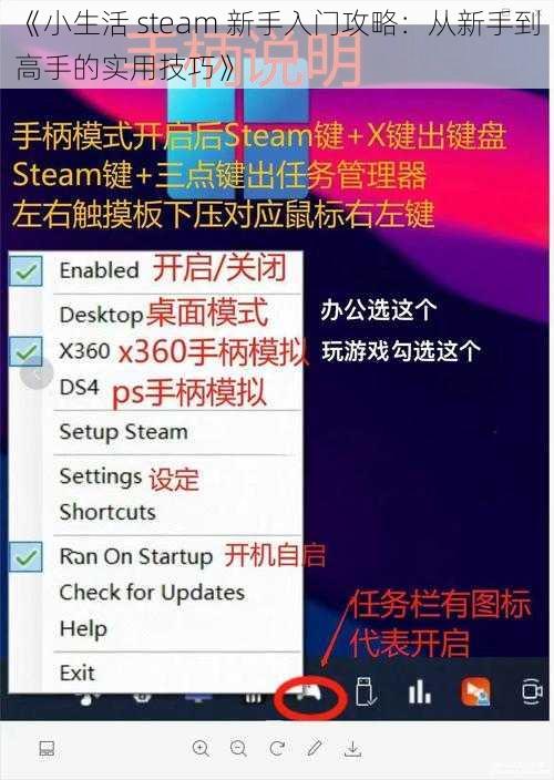 《小生活 steam 新手入门攻略：从新手到高手的实用技巧》