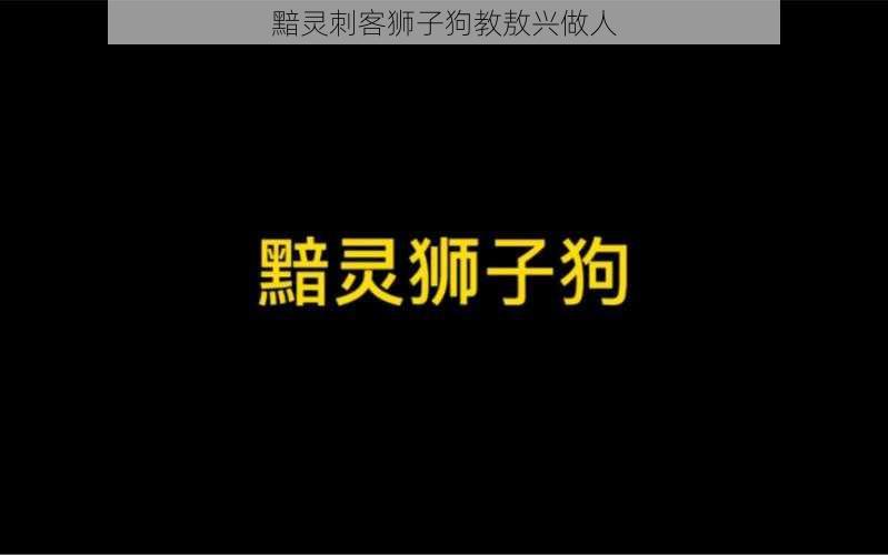 黯灵刺客狮子狗教敖兴做人