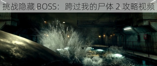 挑战隐藏 BOSS：跨过我的尸体 2 攻略视频