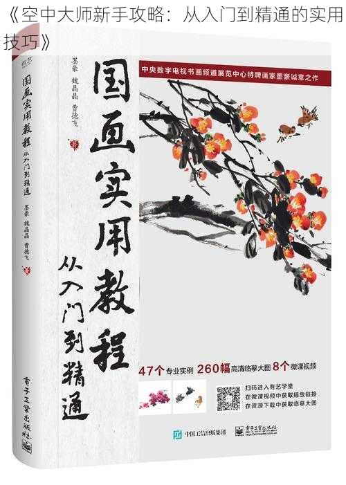 《空中大师新手攻略：从入门到精通的实用技巧》